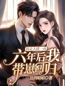 拐走大佬一夜,六年后我带崽回归